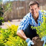 Tree Surgeons Dagenham