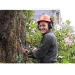 Tree Surgeons Bromley