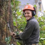 Tree Surgeons Enfield